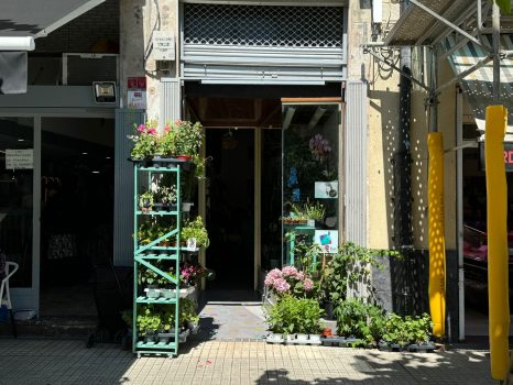 Basalore floristeria